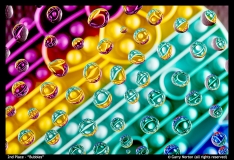 2nd-Place-Bubbles-by-Garry-Norton