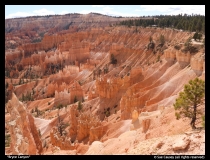 Bryce-Canyon-by-Sue-Causey