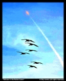 Pelicans-in-the-Rocket-Scene-by-Skip-Lowery