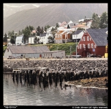 Siglufjordur-by-Linda-Johnson