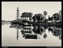 Lake-Sumter-Kathy-Reed