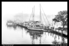 Misty-Florida-Morning-Vicki-Payne