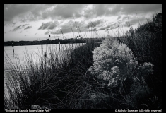 Twilight-at-Gamble-Rogers-State-Park-Michele-Sweeters