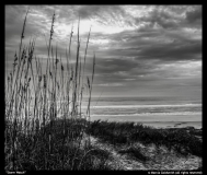 Storm-Watch-by-Marcia-Goldsmith