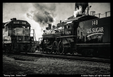 Raising-Cane-Steam-Train-by-Adelet-Kegley