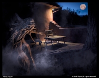 Ghost-House-by-Vicki-Payne