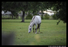 Jerry-LeCrone-1